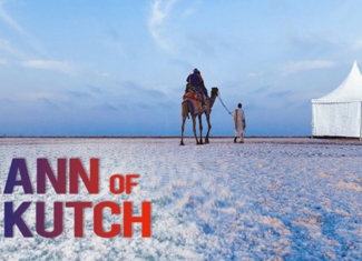 1 Night Package - White Rann Resort